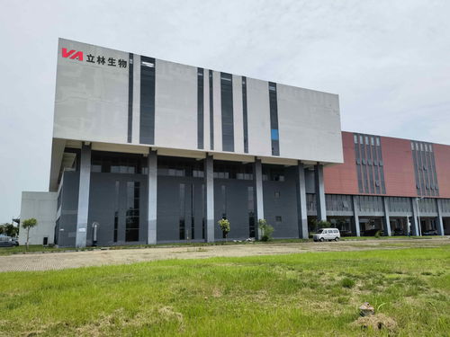 雙品牌戰(zhàn)略驅(qū)動(dòng)，雙廠布局夯實(shí)根基 蓋夫內(nèi)外貿(mào)并舉，技術(shù)開發(fā)引領(lǐng)全球化新篇章